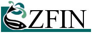 zfin banner